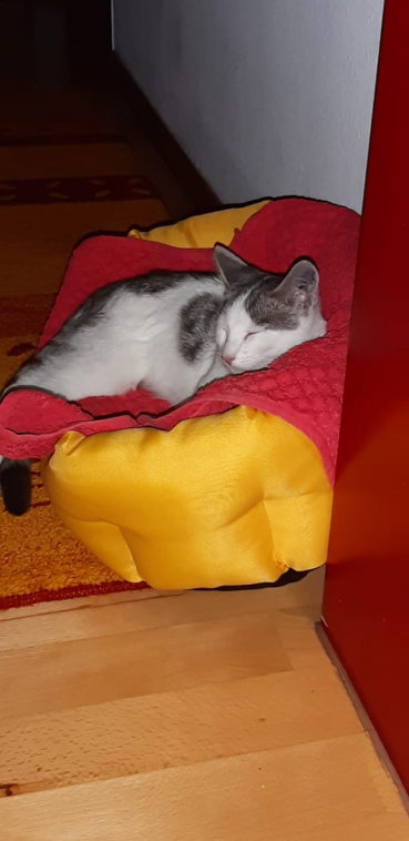 Mäxle