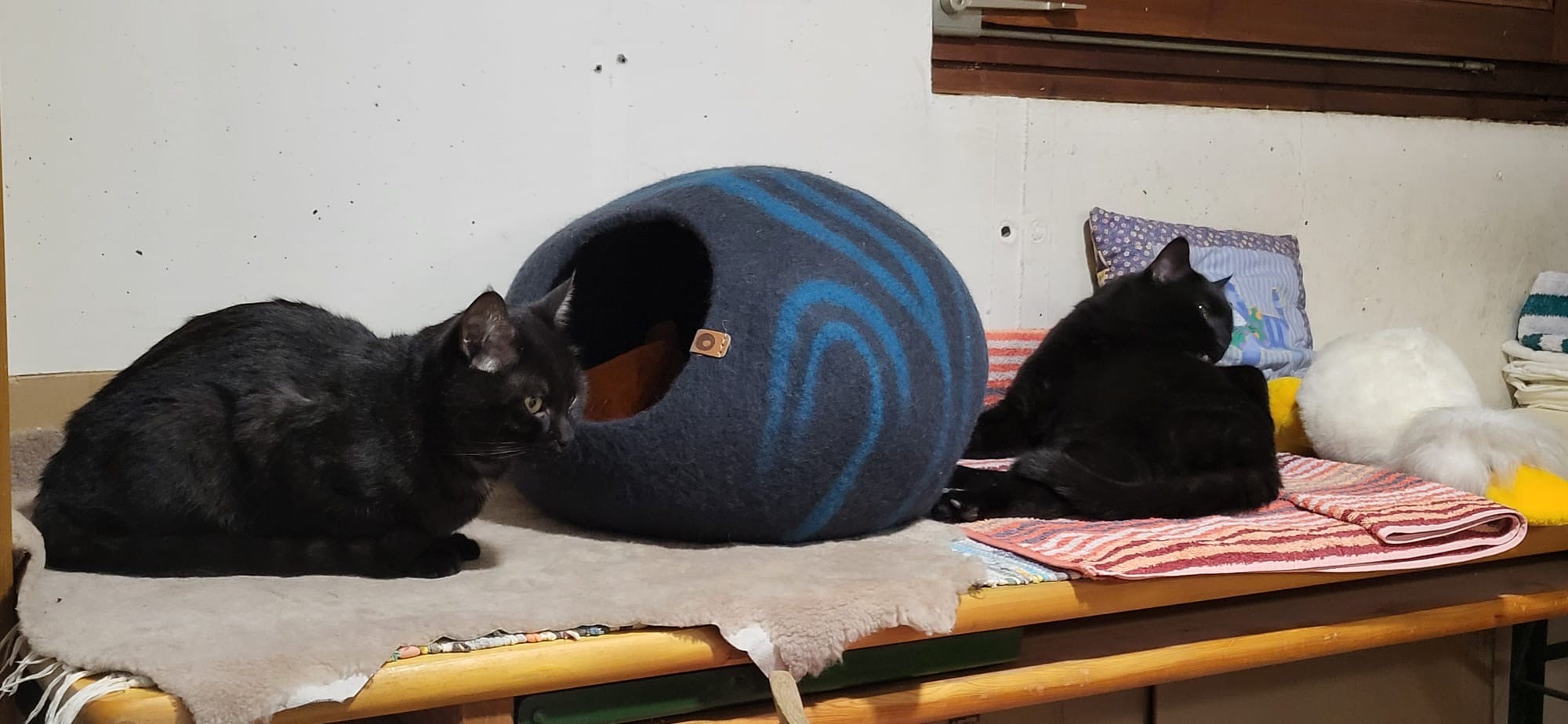 Tierfreunde Mössingen