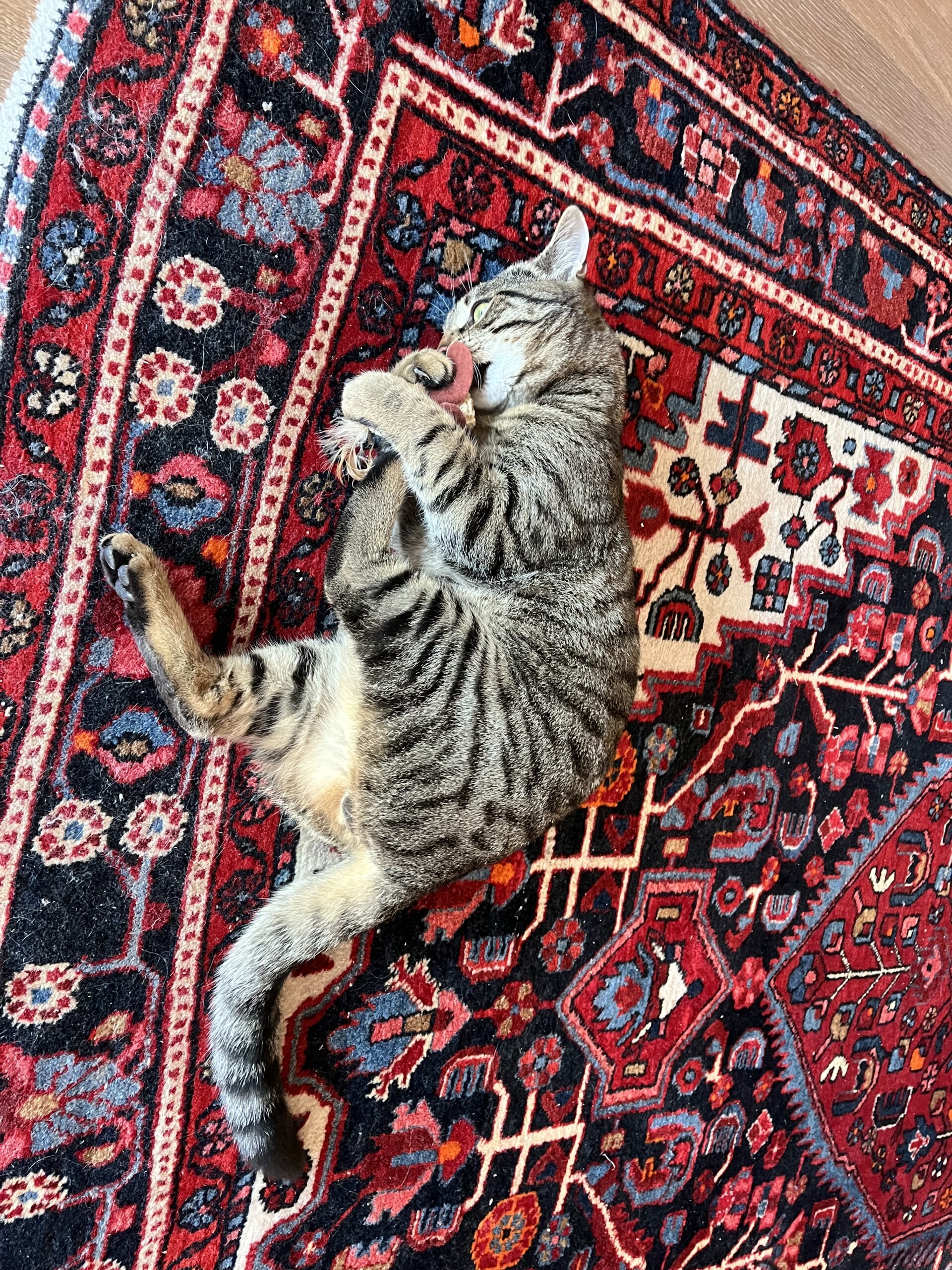 Tierfreunde Mössingen