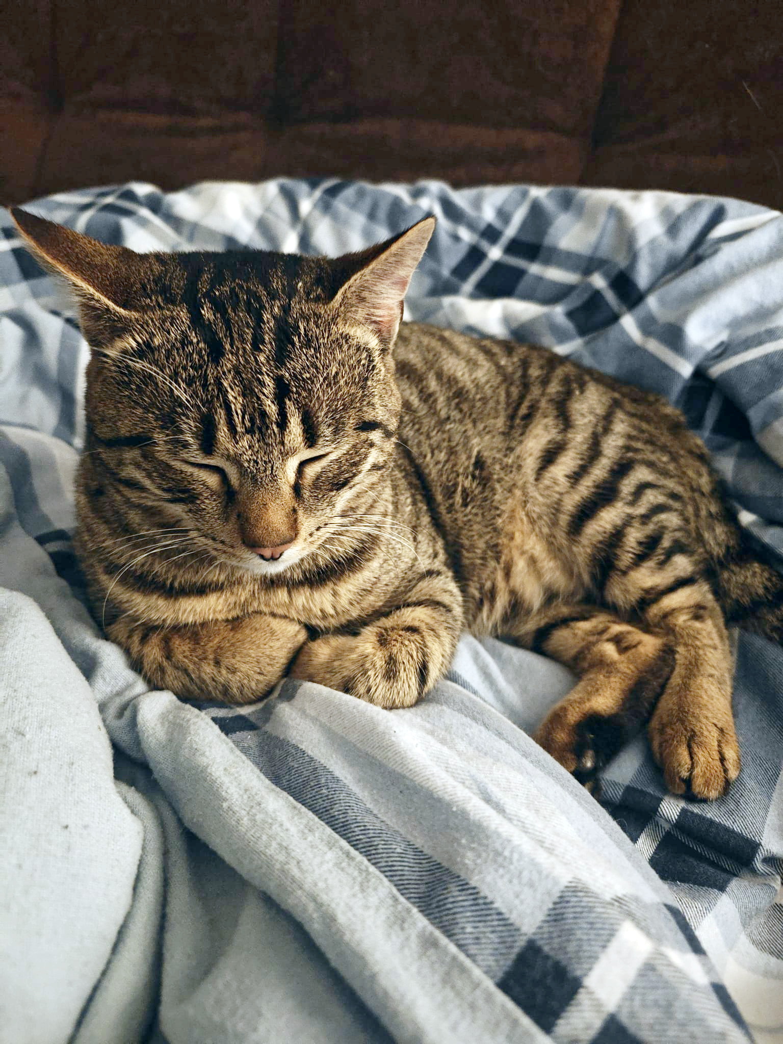 Tierfreunde Mössingen