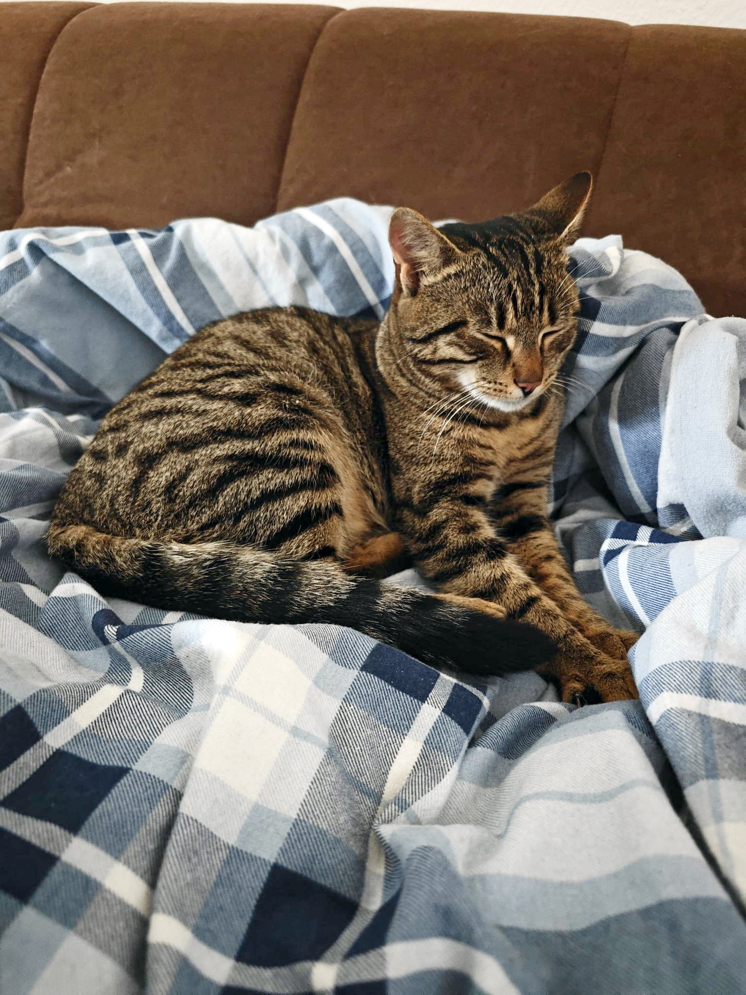 Tierfreunde Mössingen