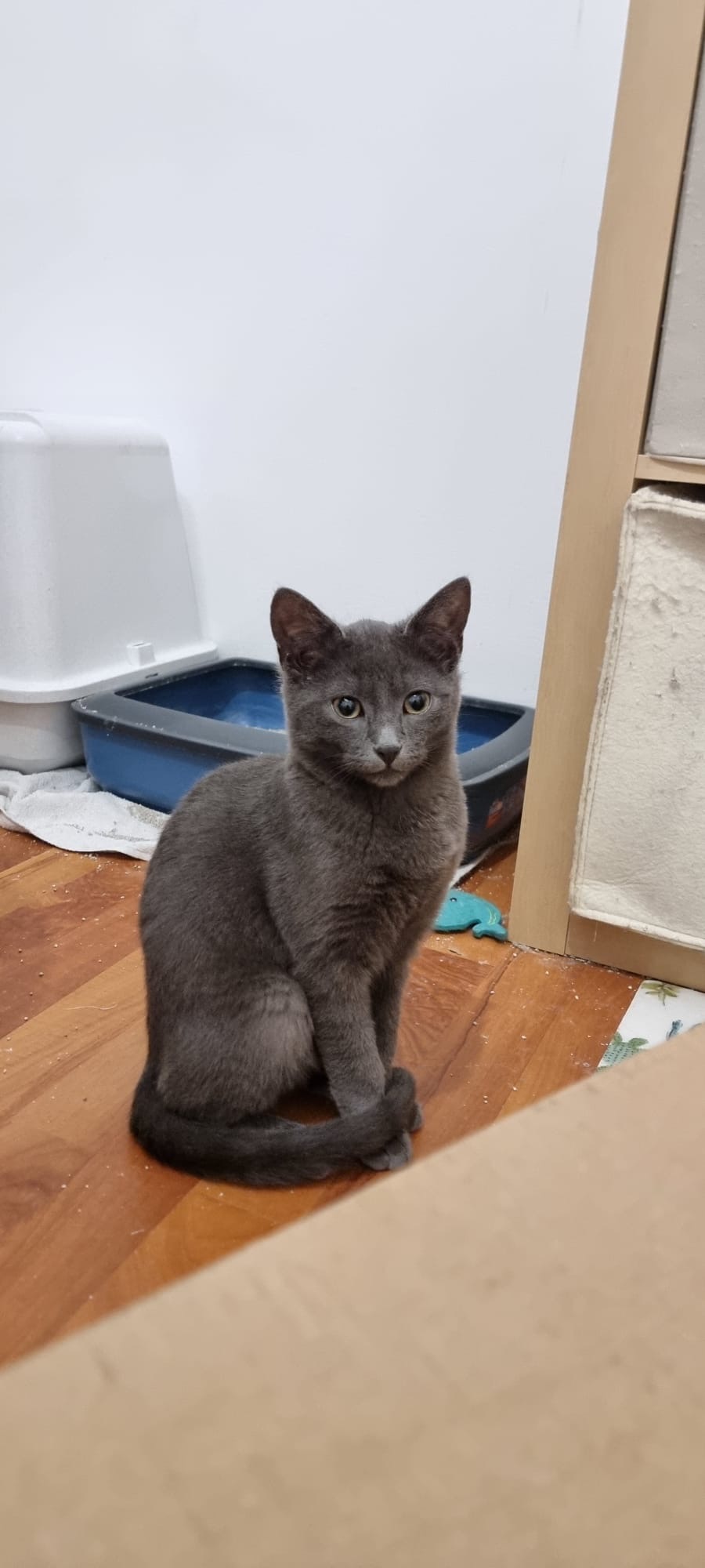 Tierfreunde Mössingen