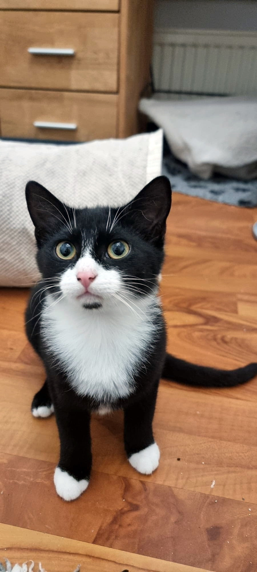 Tierfreunde Mössingen