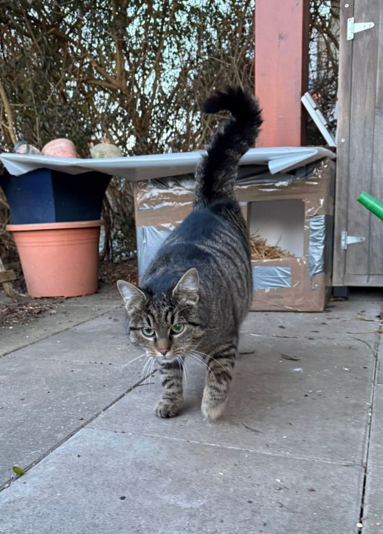 Tierfreunde Mössingen