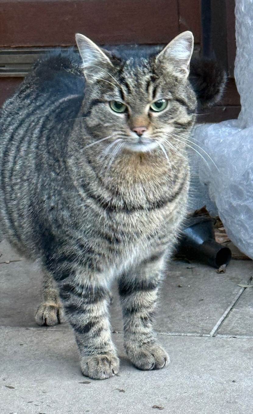 Tierfreunde Mössingen