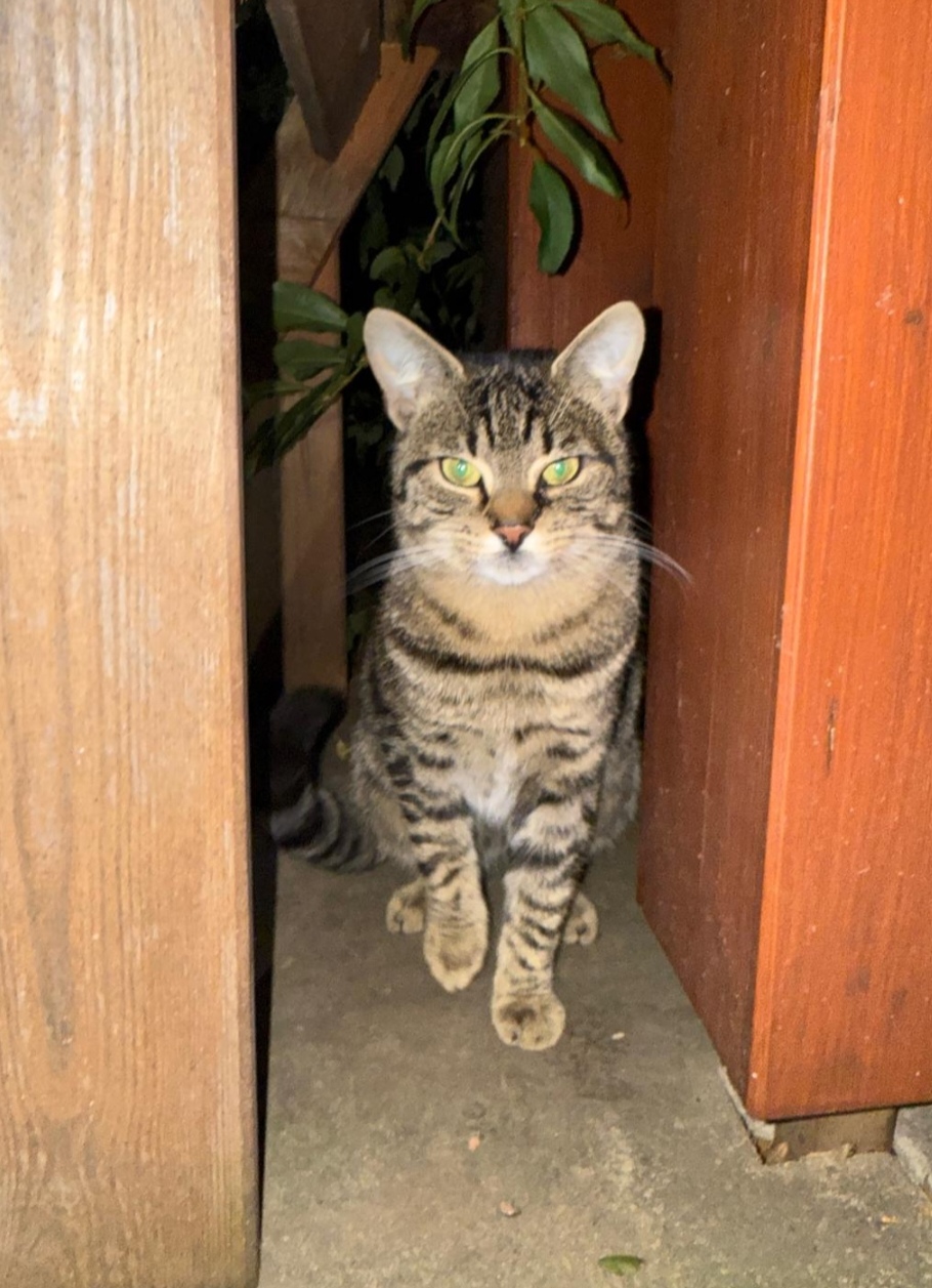 Tierfreunde Mössingen