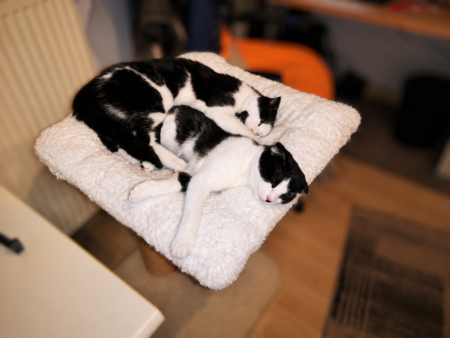 Tierfreunde Mössingen