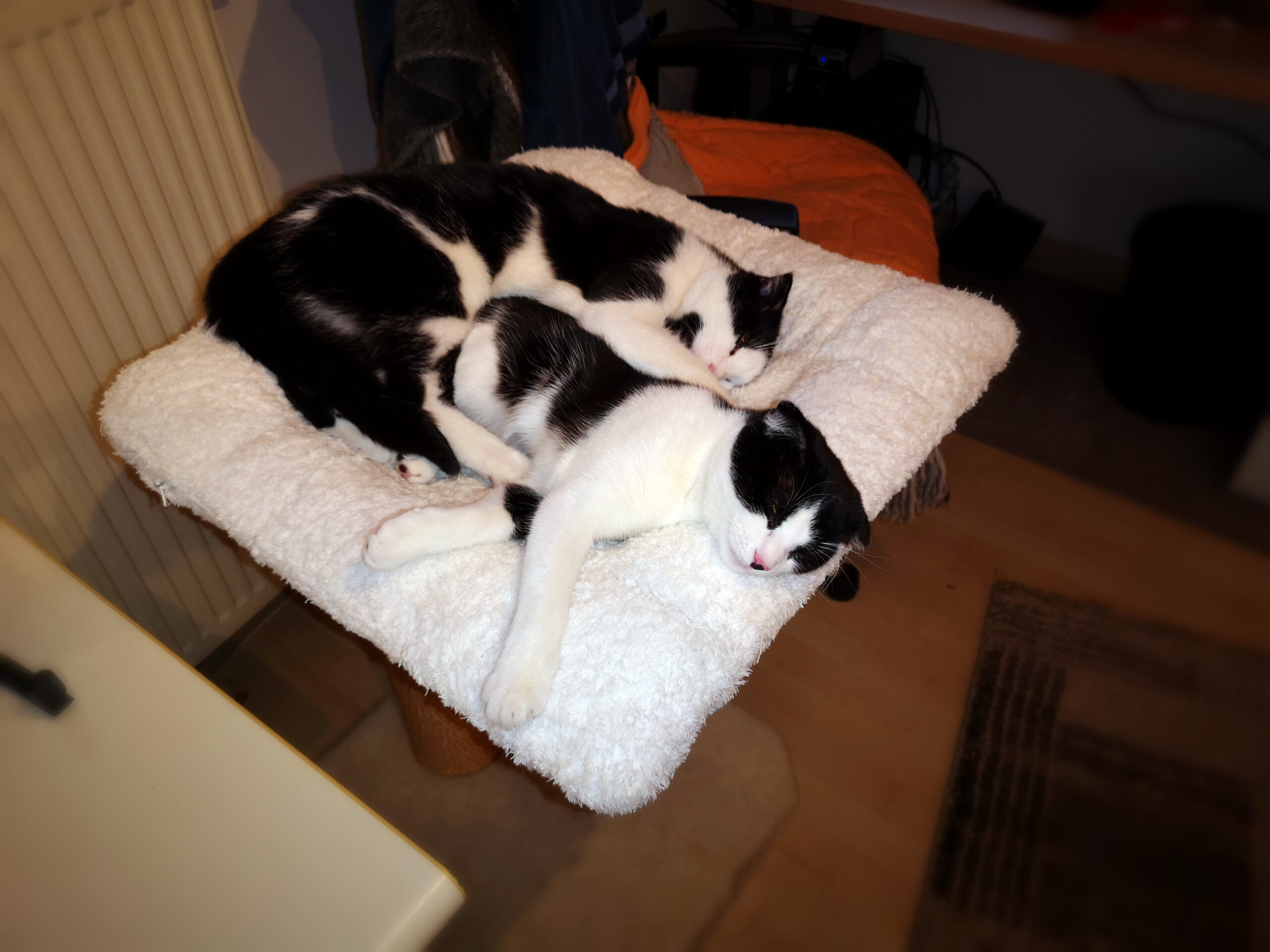 Tierfreunde Mössingen