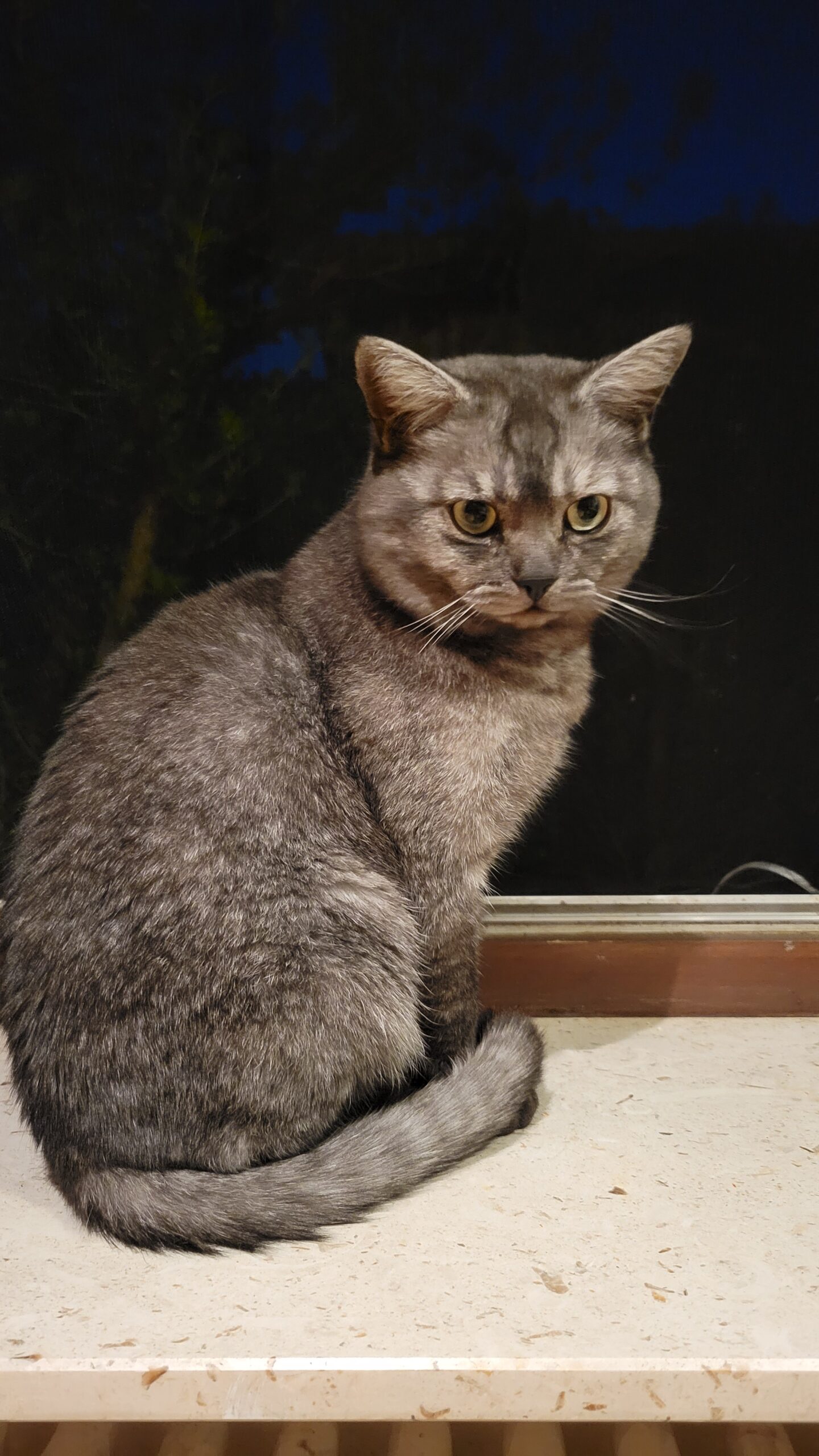 Tierfreunde Mössingen