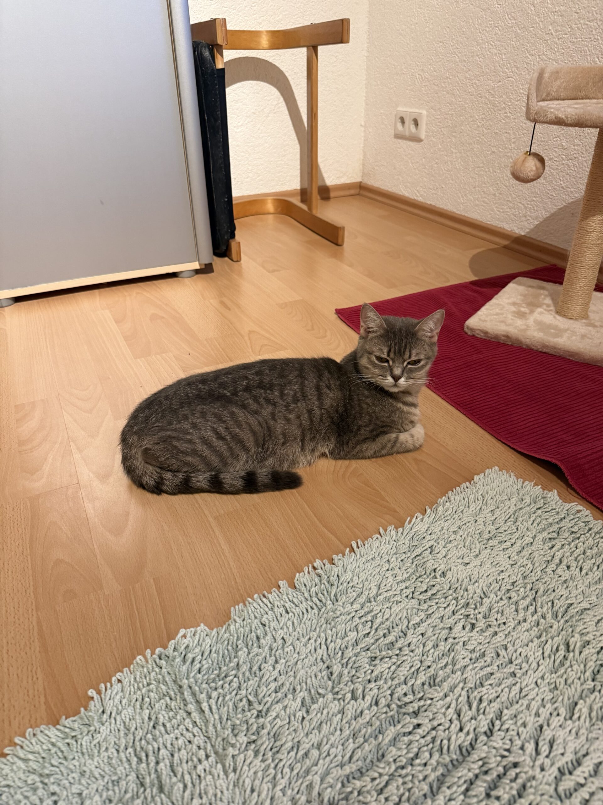 Tierfreunde Mössingen