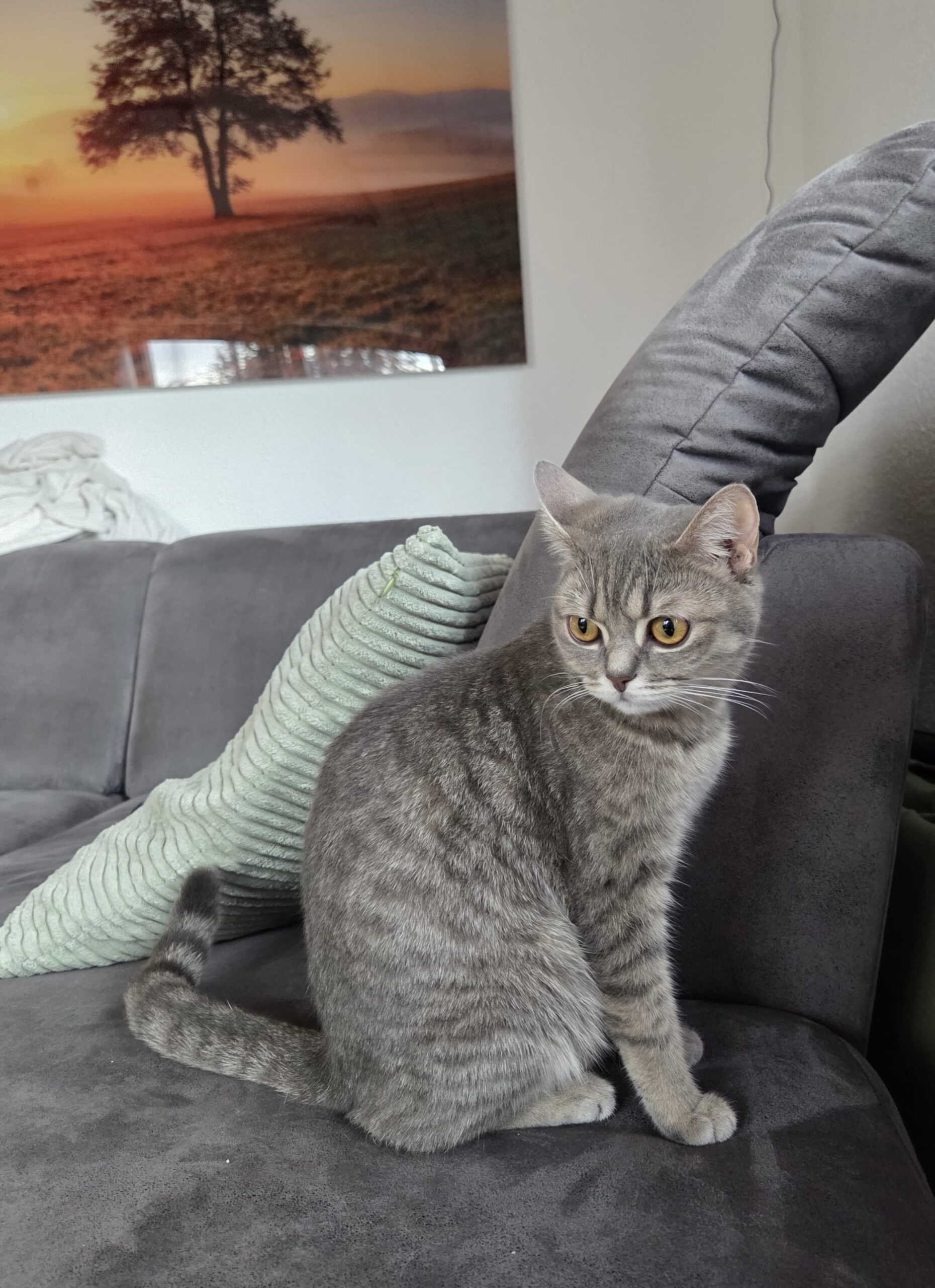 Tierfreunde Mössingen